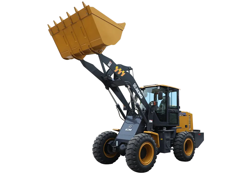 Cargador frontal XCMG LW200FV