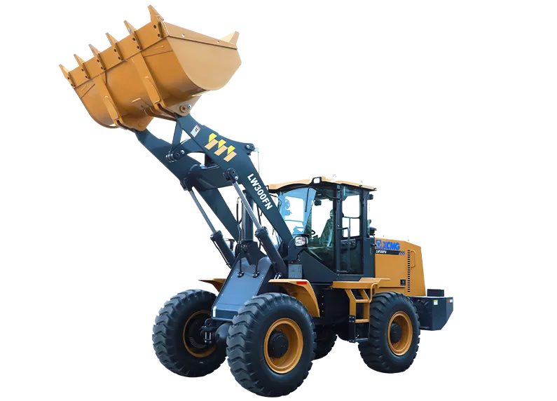 Cargador frontal XCMG LW300FN
